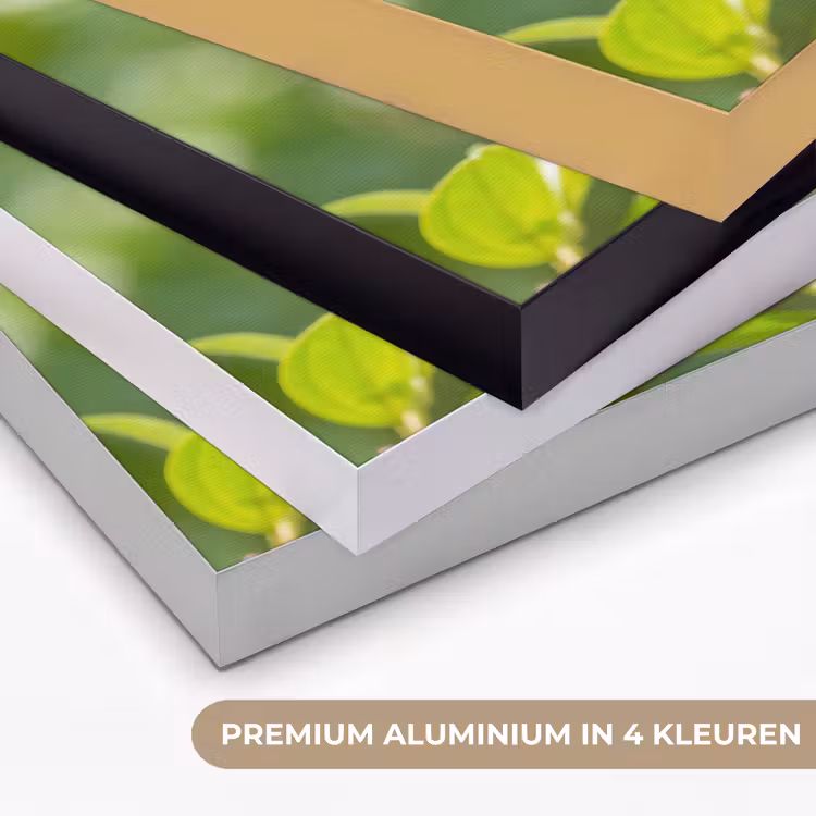 Kolibrie - Bloem - Natuur - Groen Textielframe zwart klein -USP_kleurenNL