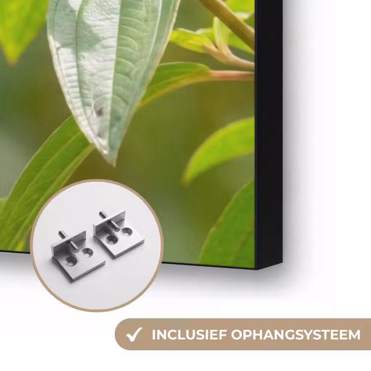 Kolibrie - Bloem - Natuur - Groen Textielframe zwart klein -USP_ophangsysteemNL