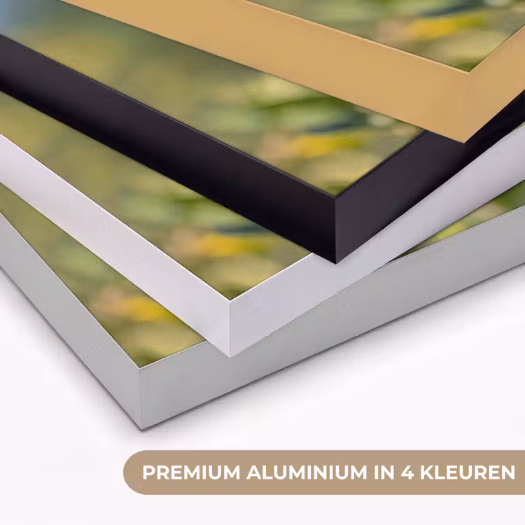 Kolibrie - Bloem - Natuur - Groen Textielframe zwart klein -USP_kleurenNL