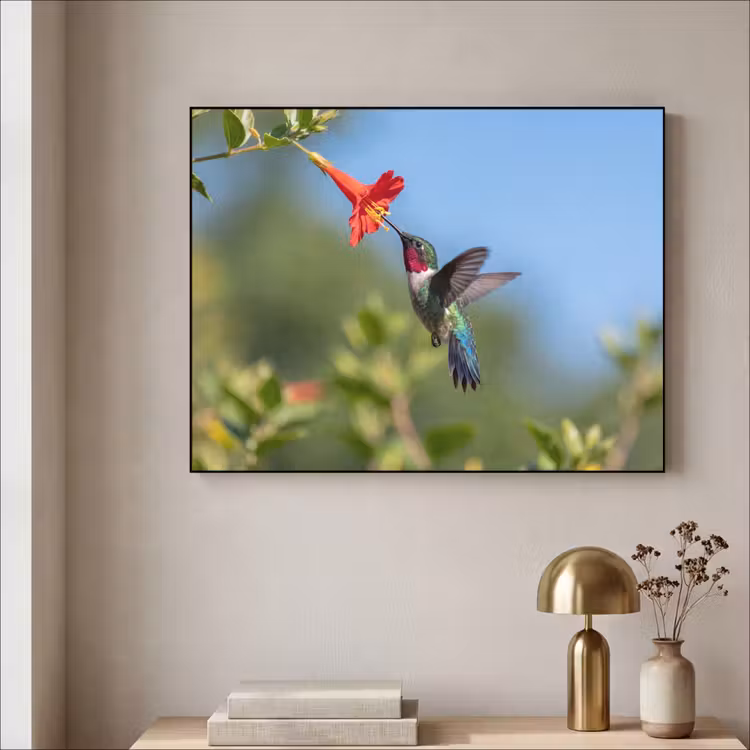 Kolibrie - Bloem - Natuur - Groen Textielframe zwart klein -sfeer2