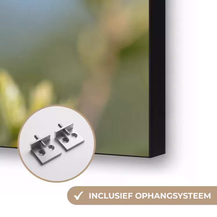 Kolibrie - Bloem - Natuur - Groen Textielframe zwart klein -USP_ophangsysteemNL