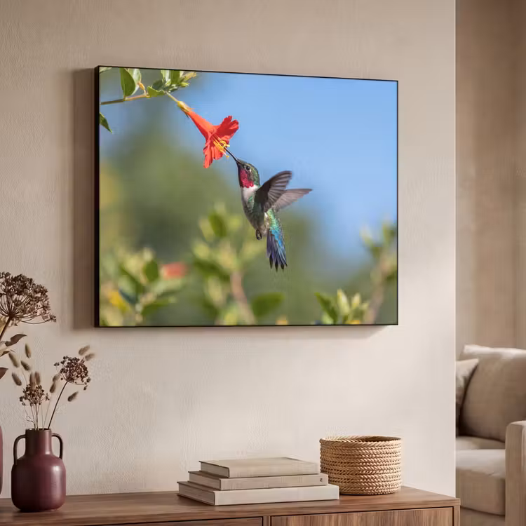 Kolibrie - Bloem - Natuur - Groen Textielframe zwart klein -sfeer3