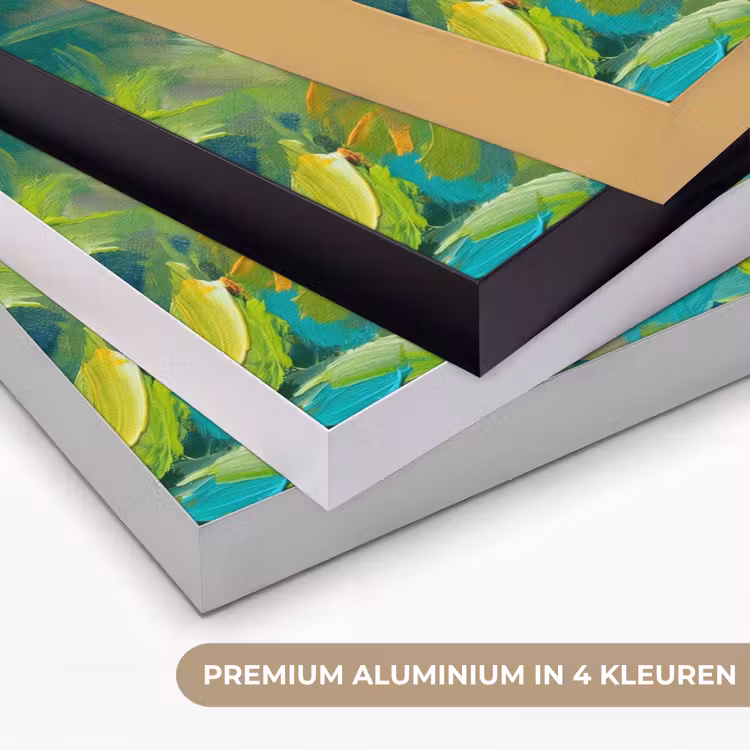 Kolibrie - Bloemen - Natuur - Kleurrijk Textielframe zwart klein -USP_kleurenNL