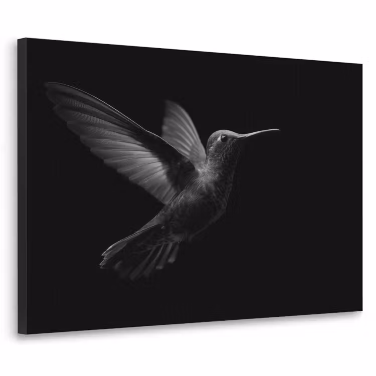 Kolibrie - Zwart - Dieren Textielframe - compleet frame klein -3d