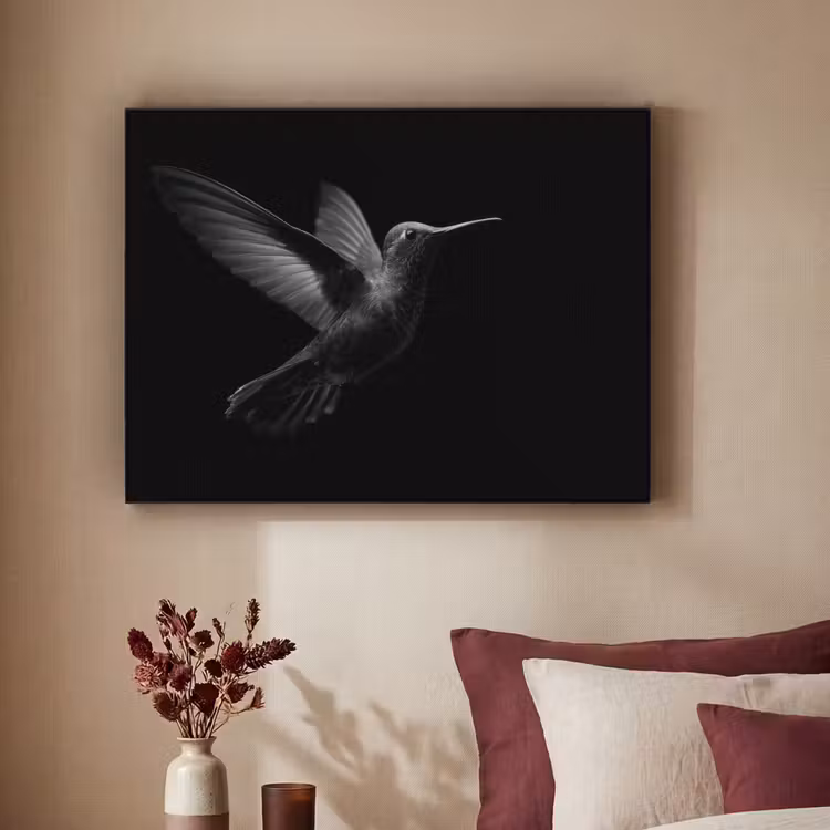 Kolibrie - Zwart - Dieren Textielframe zwart klein -sfeer1