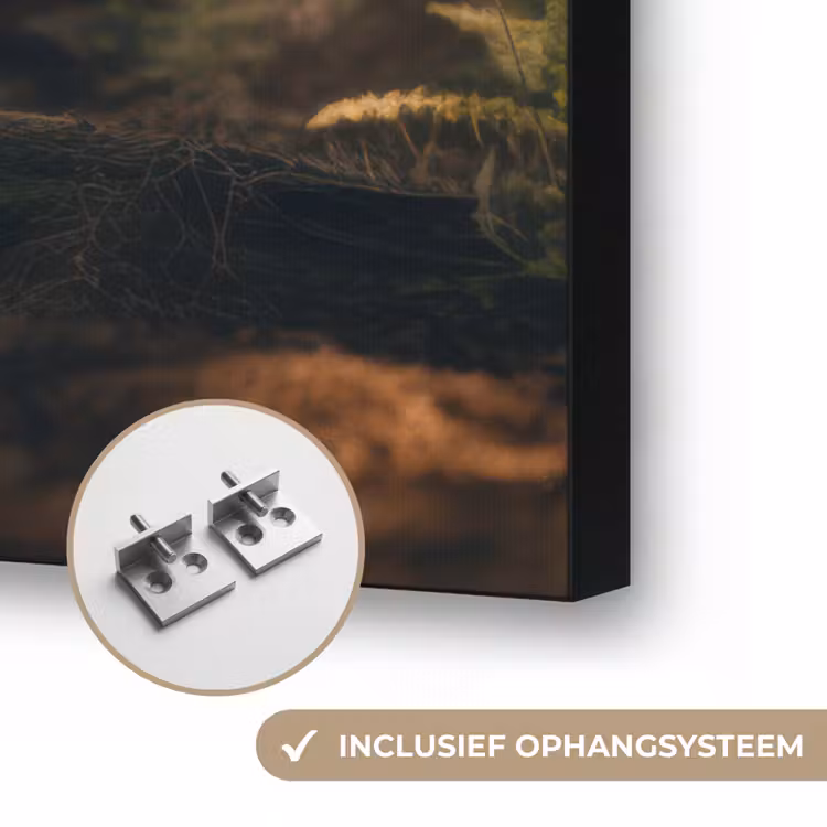 Konijn - Bos - Zonnestralen Textielframe zwart klein -USP_ophangsysteemNL