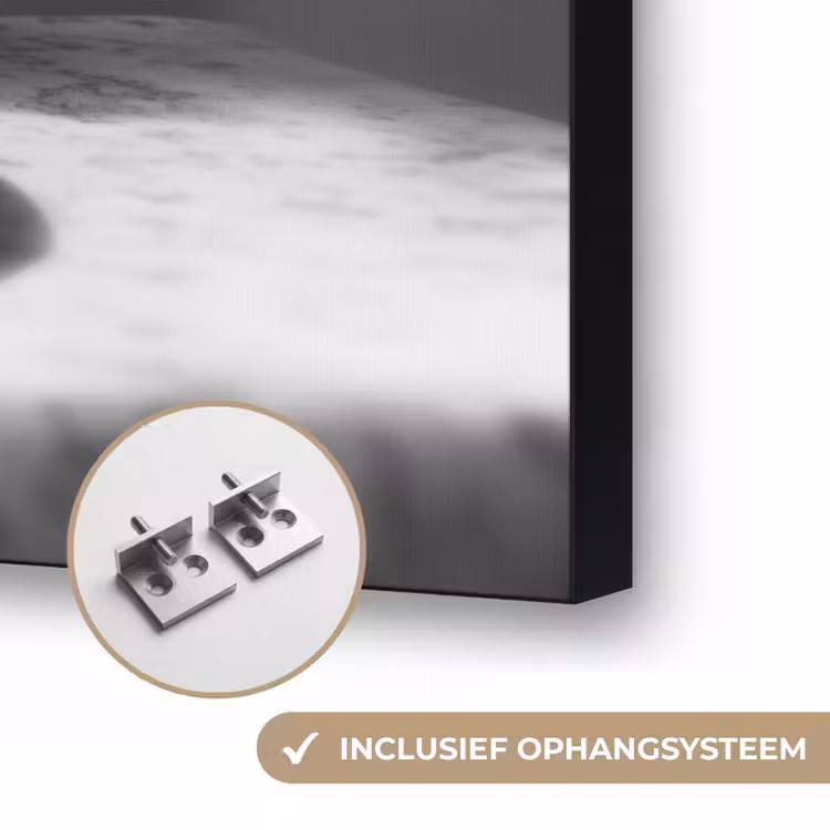 Konijn - Bunny - Zonnebril - Tafelkleed - Pasta - Schattig Textielframe zwart klein -USP_ophangsysteemNL