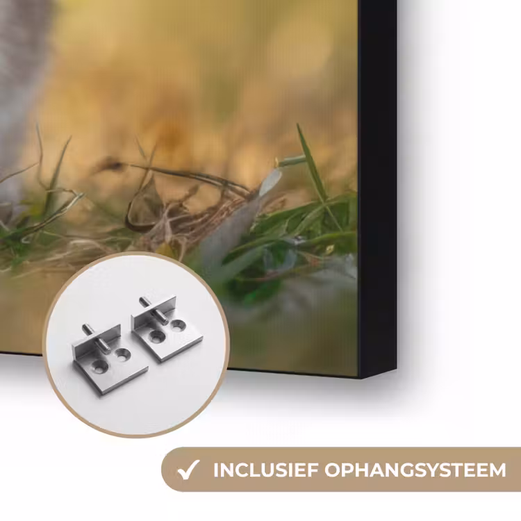 Konijntje - Bruin - Gras Textielframe zwart klein -USP_ophangsysteemNL