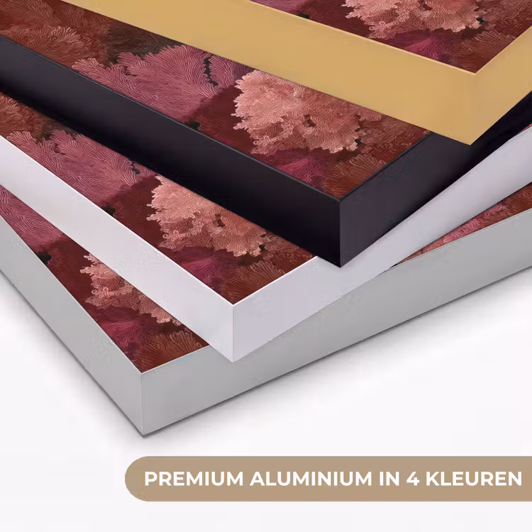 Koraal - Textuur - Kleurrijk Textielframe zwart klein 947 -USP_kleurenNL