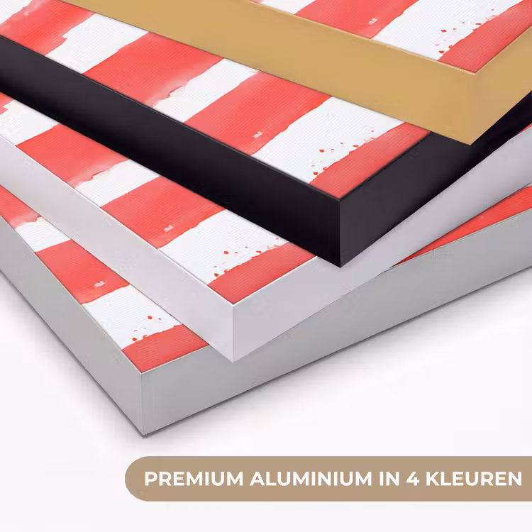 Koraal - Verfstructuur - Rood - Blauw Textielframe zwart klein -USP_kleurenNL