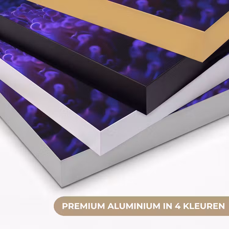 Koraal - Vis - Oranje - Zee Textielframe zwart klein -USP_kleurenNL