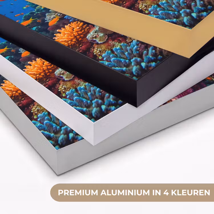 Koraal - Vissen - Oceaan - Natuur - Kleurrijk Textielframe zwart klein -USP_kleurenNL