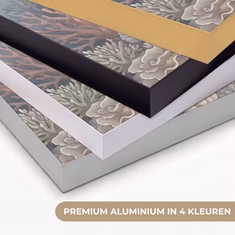 Koraal - Zeeleven - Onderwater - Illustratie - Natuur Textielframe zwart klein -USP_kleurenNL