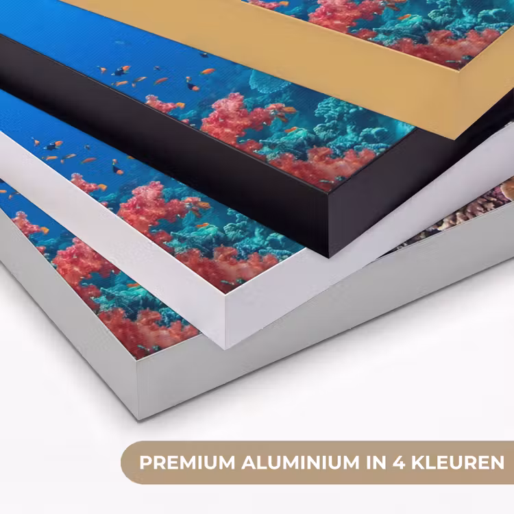 Koraalrif - Vissen - Onderwater - Tropisch - Rood Textielframe zwart klein -USP_kleurenNL