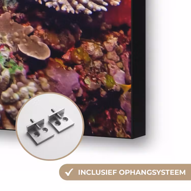 Koraalrif - Vissen - Onderwater - Tropisch - Rood Textielframe zwart klein -USP_ophangsysteemNL