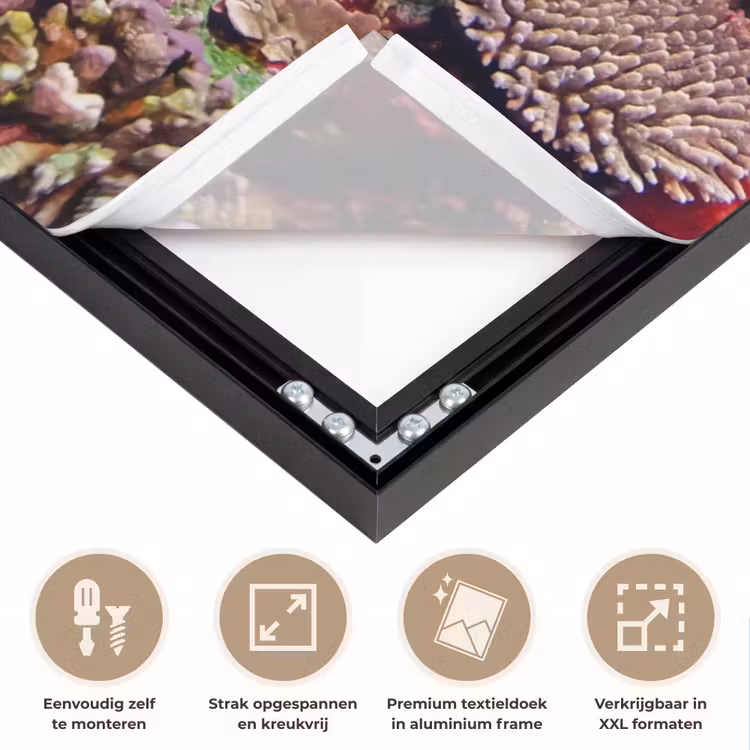 Koraalrif - Vissen - Onderwater - Tropisch - Rood Textielframe zwart klein -USP_feed_closeupNL