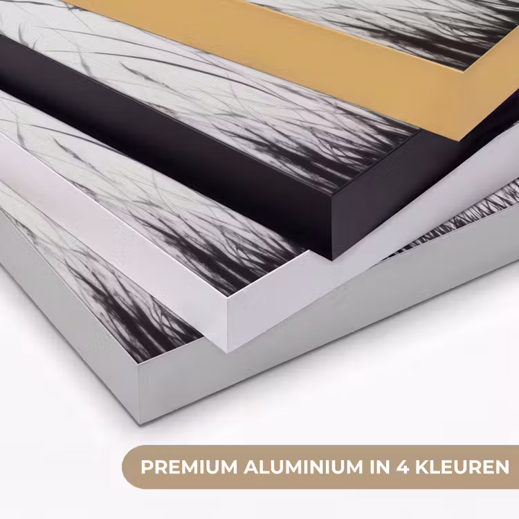 Kraanvogels - Gras - Hartvorm - Zwart Textielframe zwart klein -USP_kleurenNL