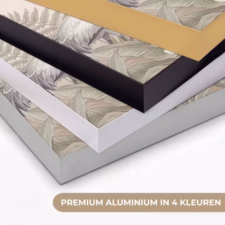 Kraanvogels - Natuur - Roze Textielframe zwart klein -USP_kleurenNL