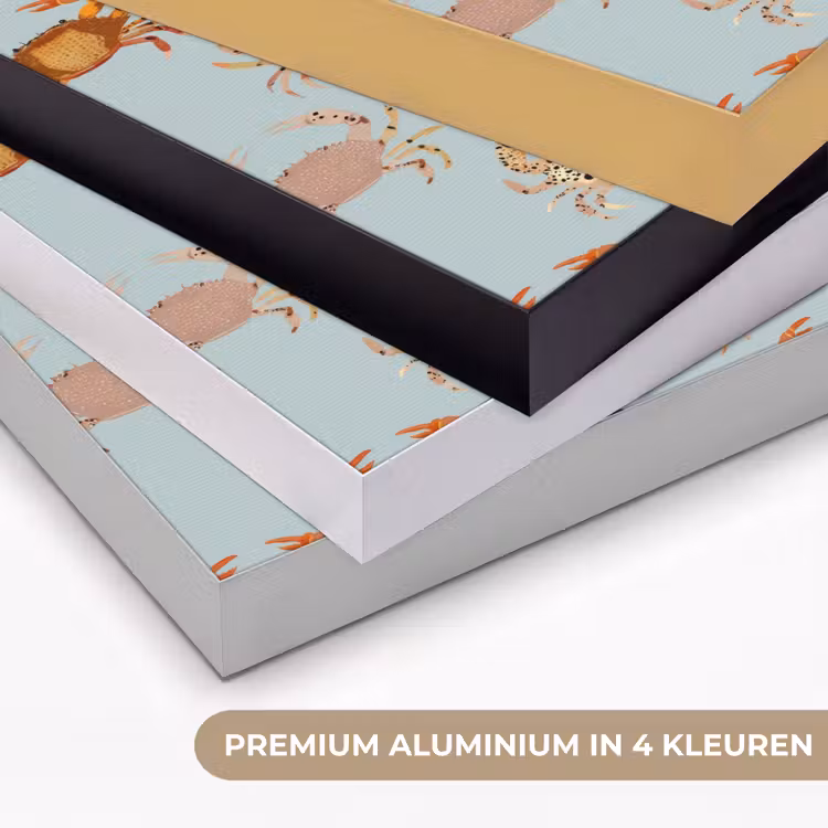 Krabben - Speels - Kleurrijk Textielframe zwart klein 947 -USP_kleurenNL