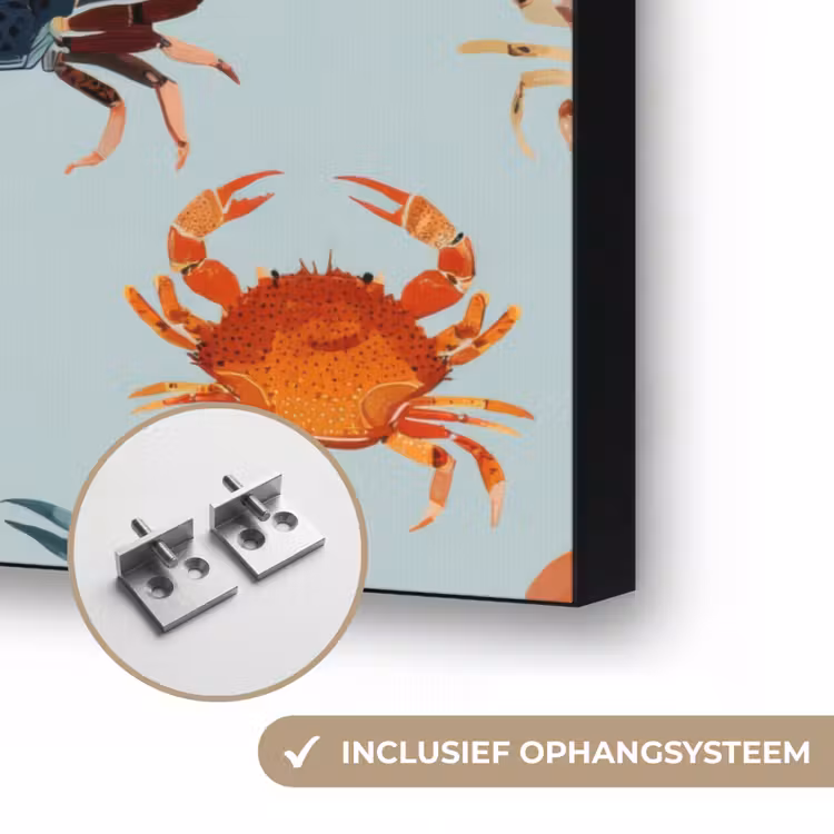 Krabben - Speels - Kleurrijk Textielframe zwart klein 947 -USP_ophangsysteemNL