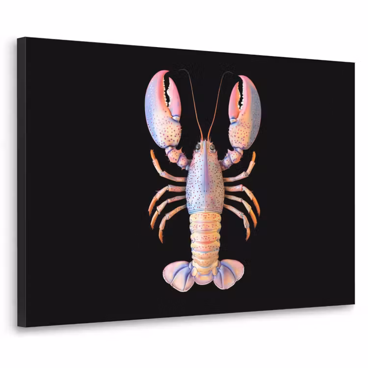 Kreeft - Roze - Zacht - Zwart Textielframe - compleet frame klein -3d