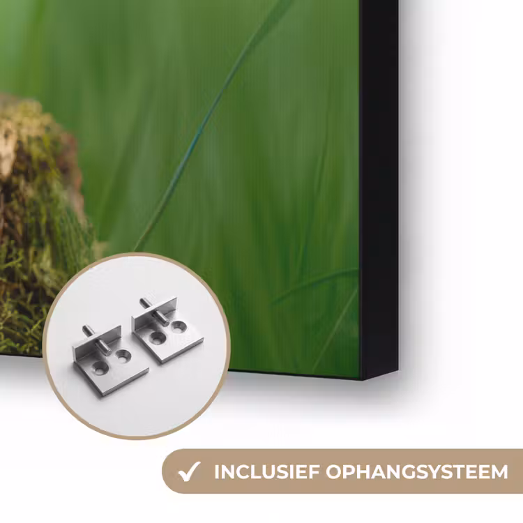 Kuiken - Eend - Geel - Gras Textielframe zwart klein -USP_ophangsysteemNL