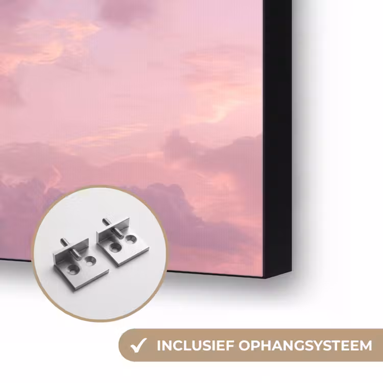 Kwallen - Roze - Wolken Textielframe zwart klein -USP_ophangsysteemNL