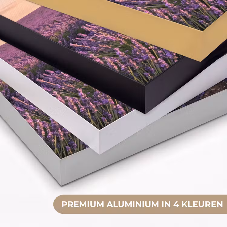 Landschap - Lavendelveld - Paars Textielframe zwart klein -USP_kleurenNL