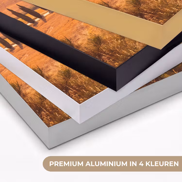 Landschap - Weg - Bomen - Natuur - Goud Textielframe zwart klein -USP_kleurenNL