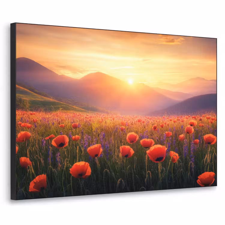 Landschap - Zonsondergang - Bloemenveld Textielframe zwart klein -3d