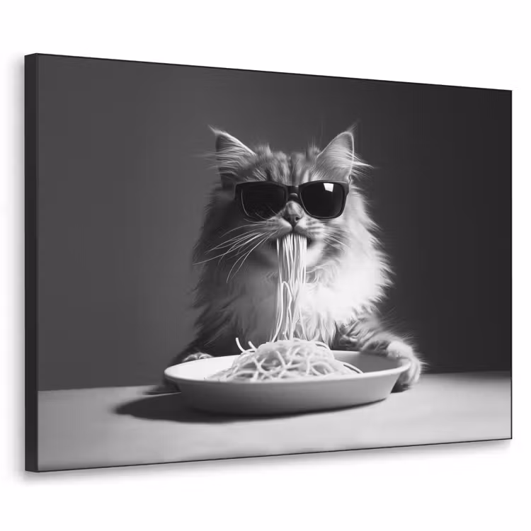 Langharige kat - Zonnebril - Spaghetti - Humor - Zwart - wit Textielframe - compleet frame klein -3d