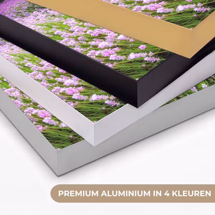 Lavendel - Bloemen - Zonsondergang - Paars - Weide Textielframe zwart klein -USP_kleurenNL