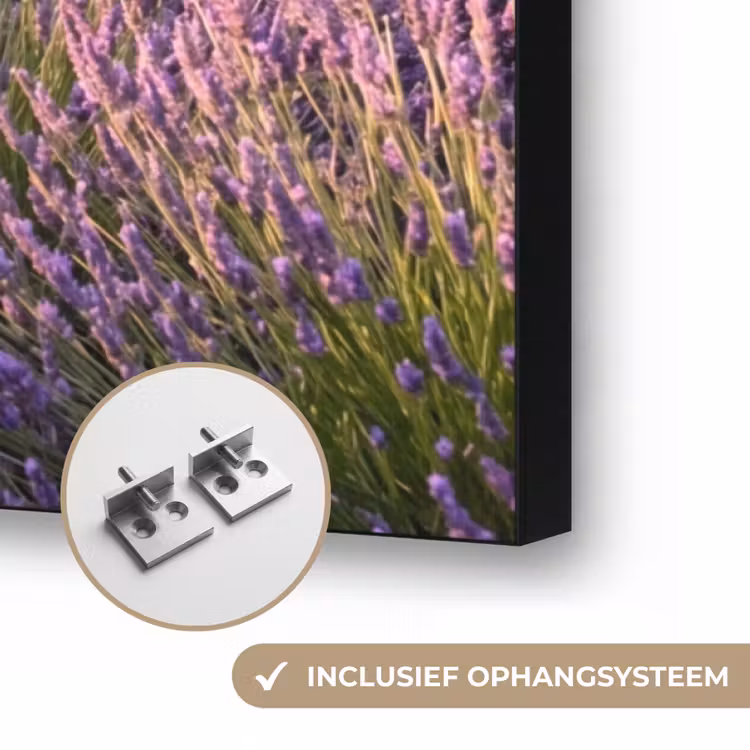 Lavendel - Landschap - Sereen - Paars Textielframe zwart klein -USP_ophangsysteemNL