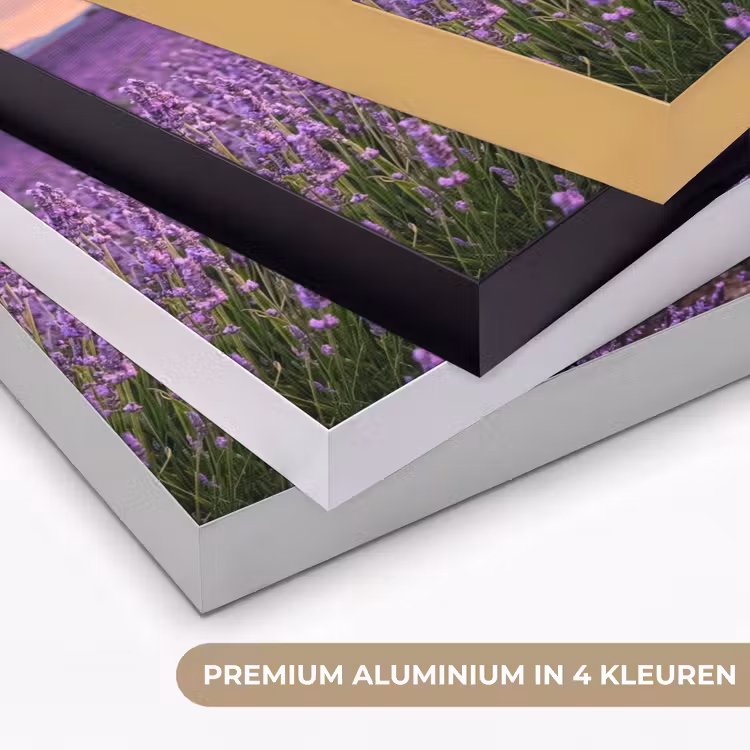 Lavendel - Veld - Natuur - Paars Textielframe zwart klein -USP_kleurenNL