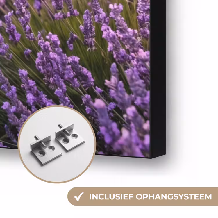 Lavendel - Veld - Natuur - Paars Textielframe zwart klein -USP_ophangsysteemNL