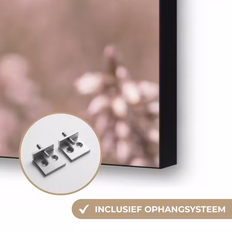 Lavendel - Vlinder - Paars Textielframe zwart klein -USP_ophangsysteemNL