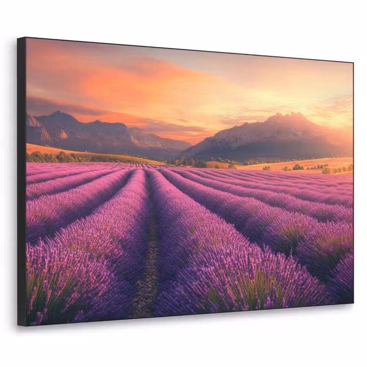 Lavendelveld - Zonsondergang - Paars Textielframe zwart klein -3d