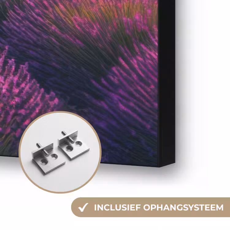 Lavendelveld - Zonsondergang - Paars Textielframe zwart klein -USP_ophangsysteemNL