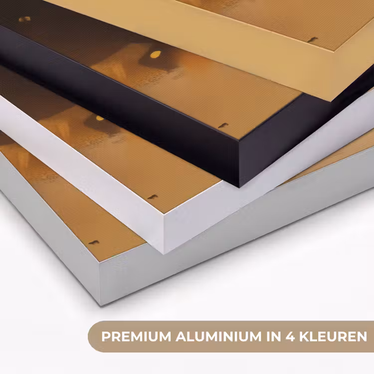 Leeuw - Geschilderd - Abstract - Goud Textielframe zwart klein -USP_kleurenNL