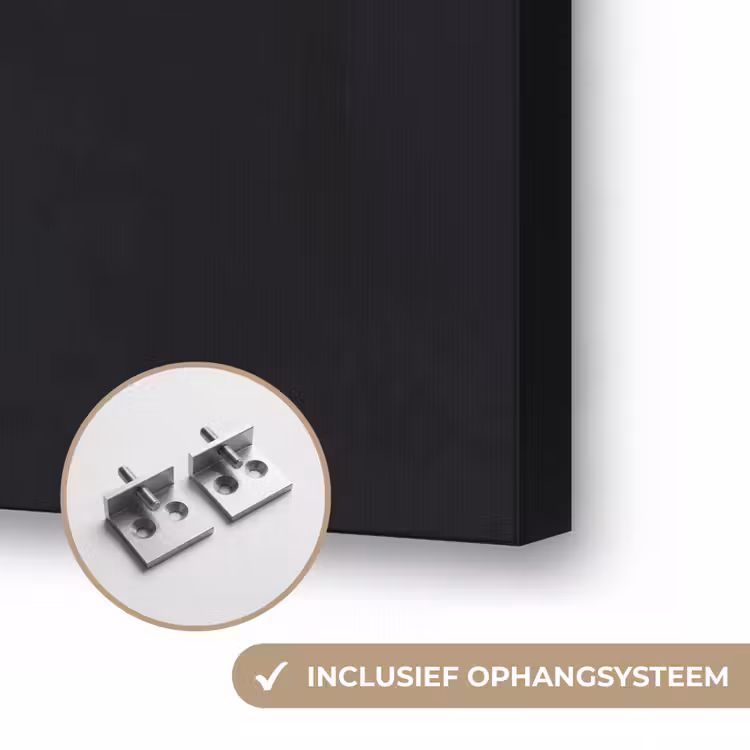 Leeuw - Gesplitst - Zwart - Lijn Textielframe zwart klein -USP_ophangsysteemNL