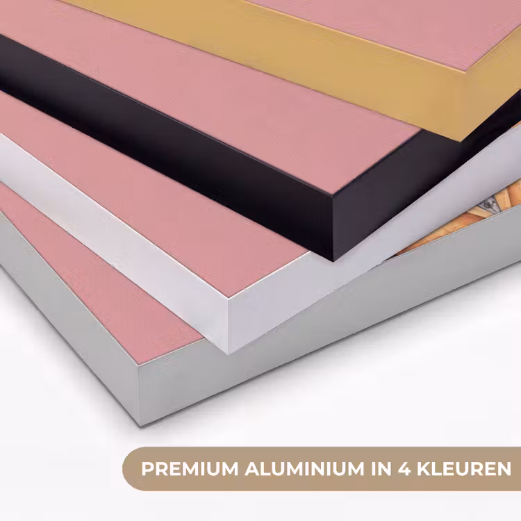 Leeuw - Pak - Geruit - Bril Textielframe zwart klein -USP_kleurenNL
