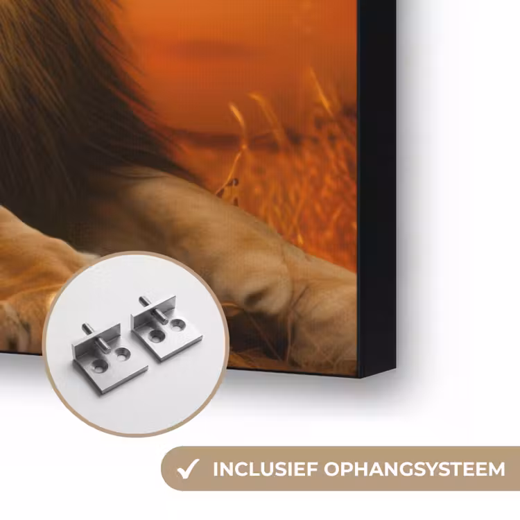 Leeuwen - Zonsondergang - Afrika - Savanne - Dieren Textielframe zwart klein -USP_ophangsysteemNL