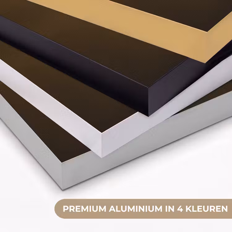 Leeuwin - Bloemen - Wit - Goud Textielframe zwart klein -USP_kleurenNL