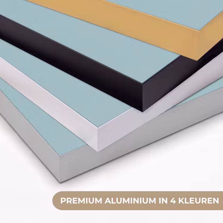 Lelie - Bloem - Paars - Stippen Textielframe zwart klein -USP_kleurenNL