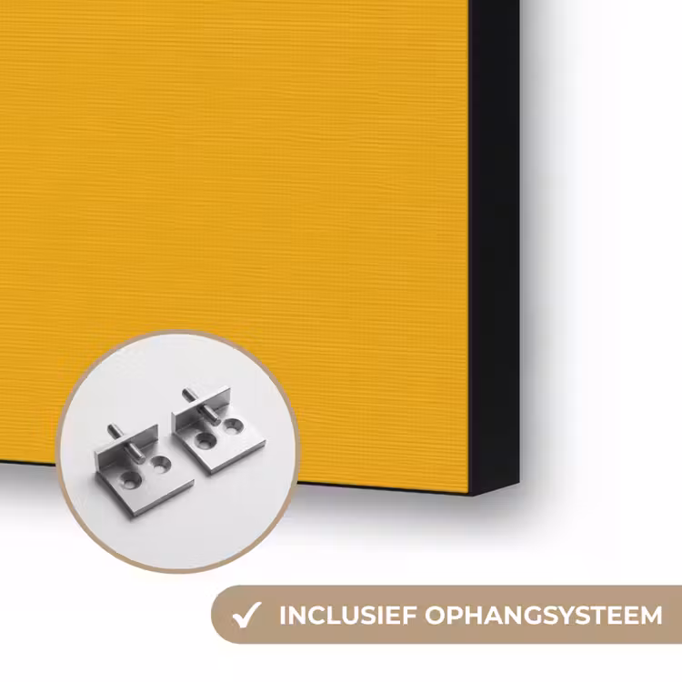 Lelie - Oranje - Lijst - Ovaal Textielframe zwart klein -USP_ophangsysteemNL