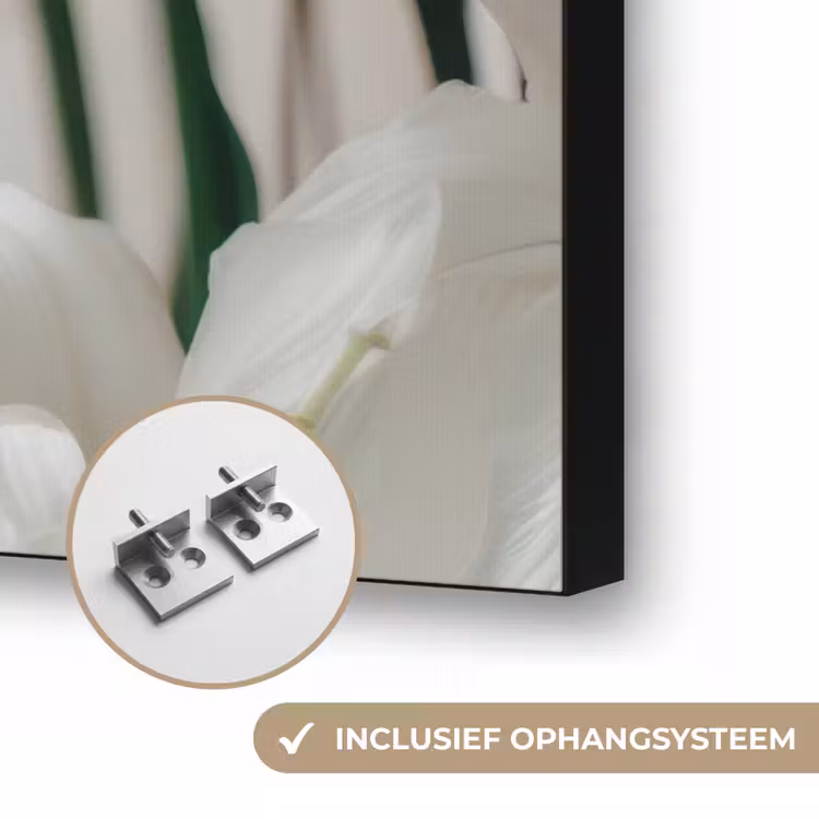 Lelies - Boekte - Wit - Meeldraden Textielframe zwart klein -USP_ophangsysteemNL