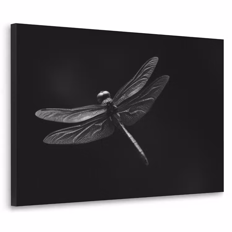 Libelle - Dieren - Zwart - Insect Textielframe zwart klein -3d