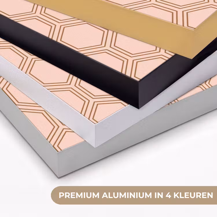Lichtroze - Patroon - Symmetrisch Textielframe zwart klein 947 -USP_kleurenNL