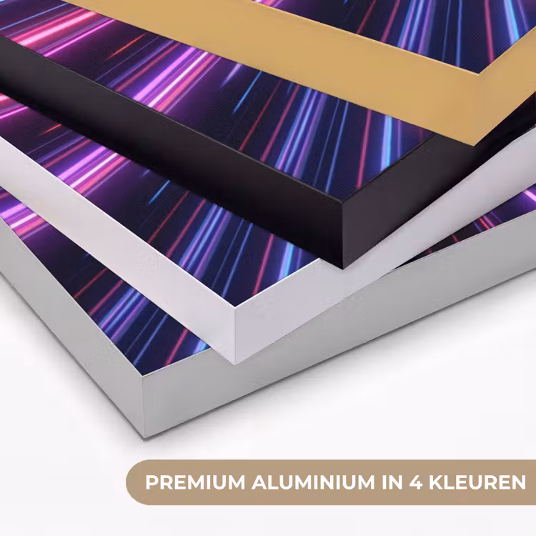 Lichtsnelheid - Ruimte - Roze - Paars Textielframe zwart klein -USP_kleurenNL