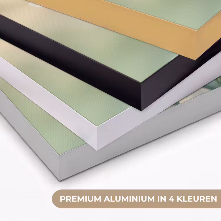 Lieveheersbeestje - Bloemen - Wit Textielframe zwart klein -USP_kleurenNL